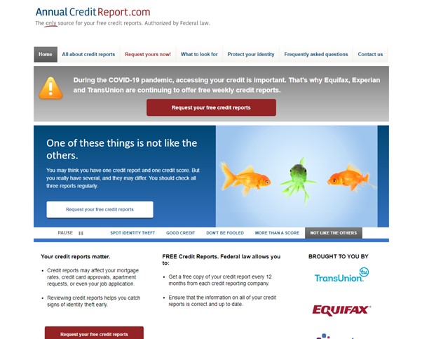 Reviewing the reports annualcreditreport.com
