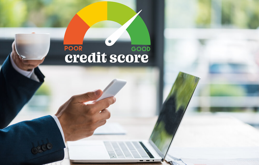 best credit repair software